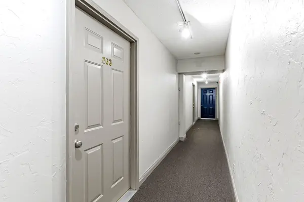 391 Grand AVE #203, Saint Paul, MN 55102