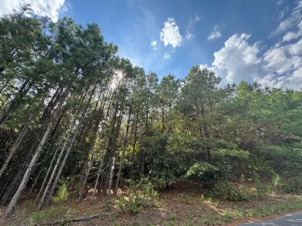 131 S Spruce TRL, Broken Bow, OK 74728