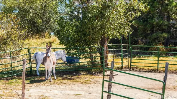 7555 Patrick TRL, Elizabeth, CO 80107