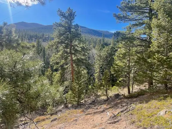 399 N Skinner RD, Allenspark, CO 80510