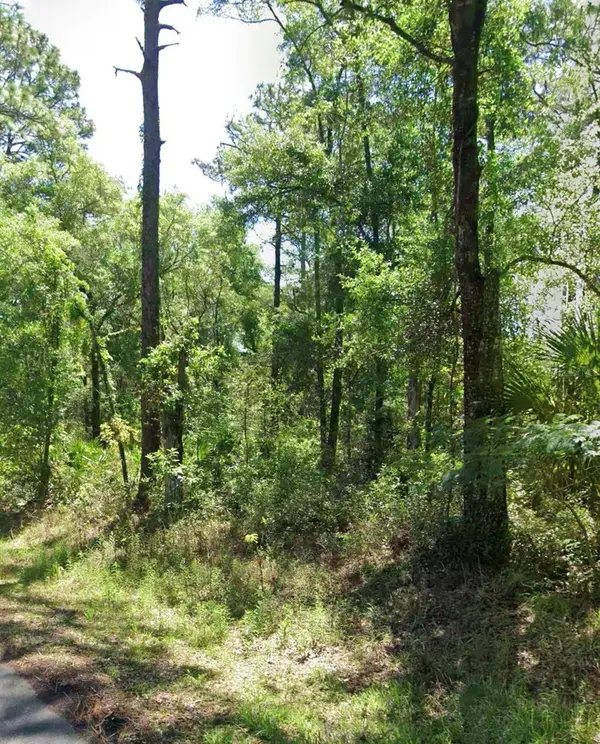 3676 E WALKER ST, Inverness, FL 34453