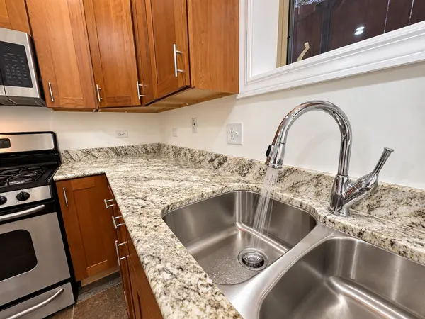 4424 S INDIANA AVE #1N, Chicago, IL 60653