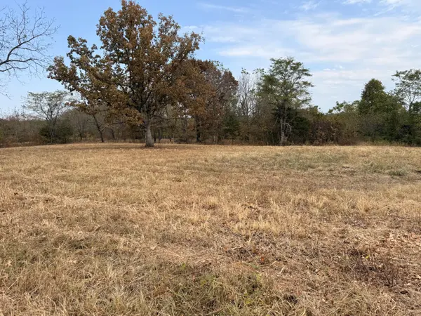 1002 Dys DR, Cabool, MO 65689
