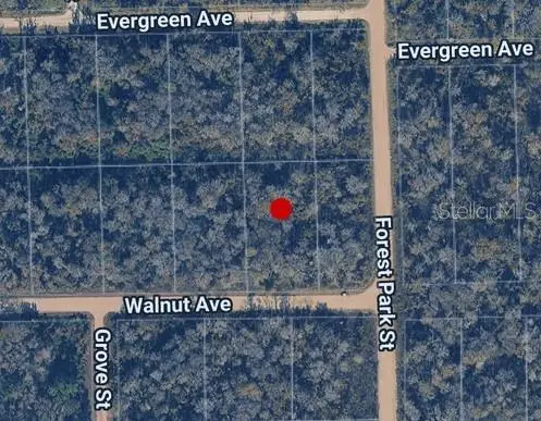 3998 WALNUT AVE, Bunnell, FL 32110
