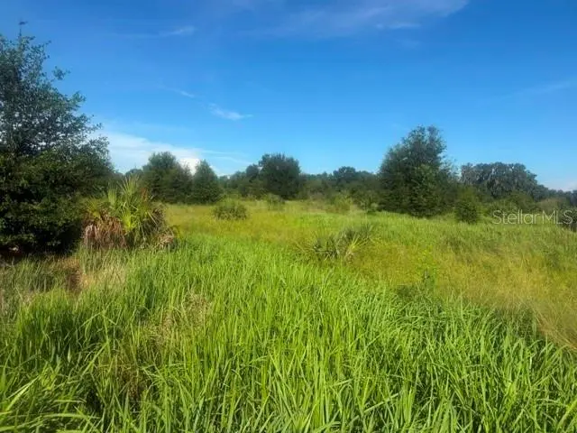 WELCOME RD #Lot 3, Lithia, FL 33547