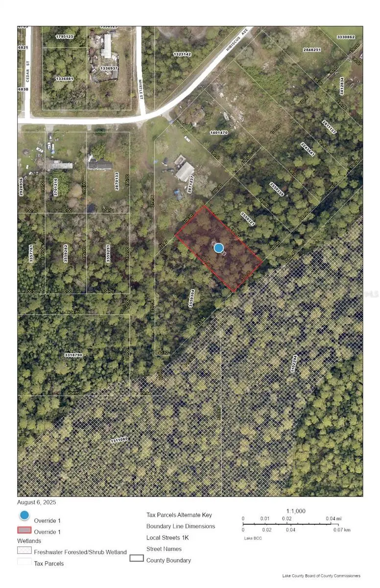 RACCOON ST, Paisley, FL 32767