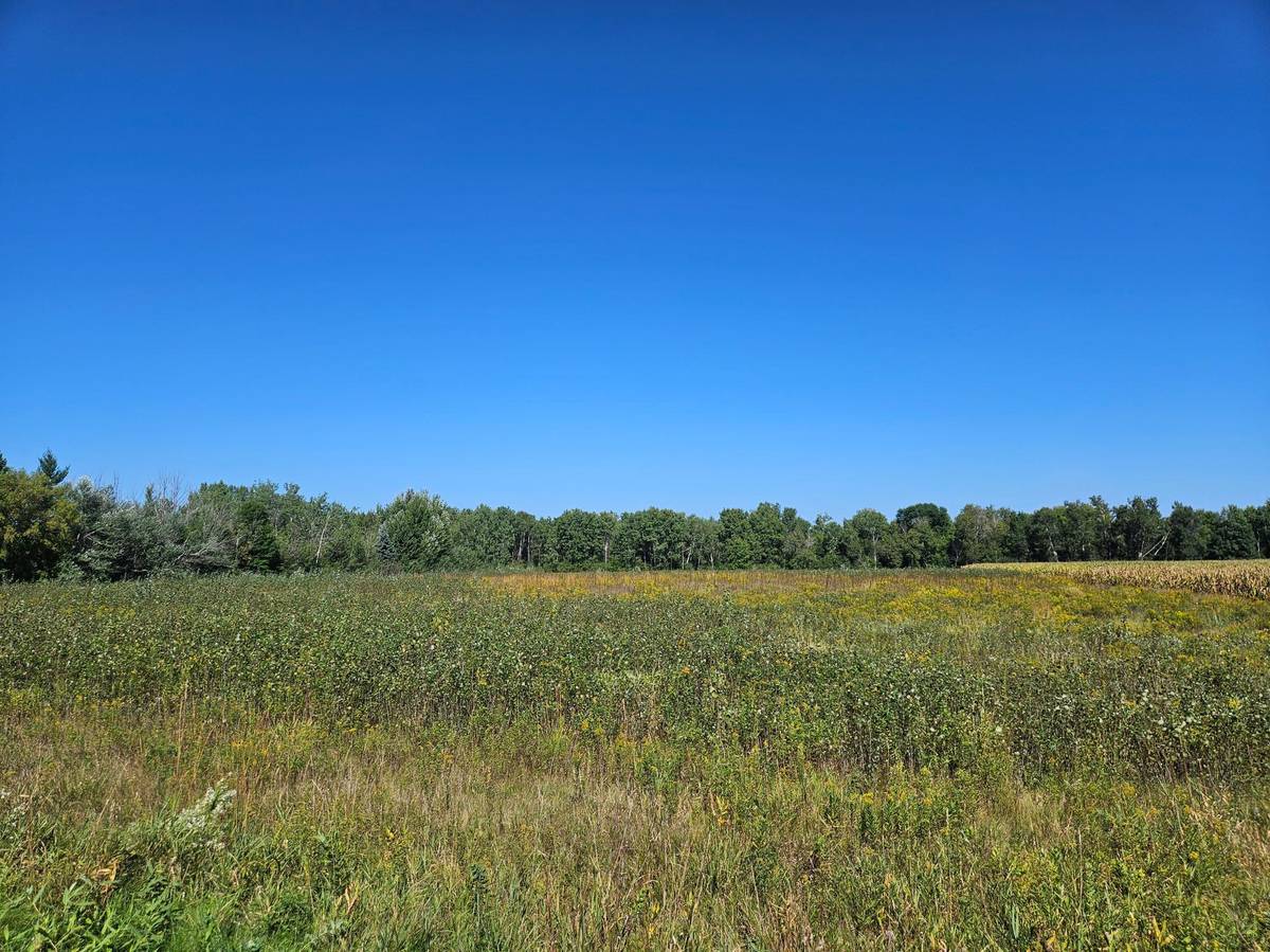 xxxx 313th AVE, Princeton, MN 55371