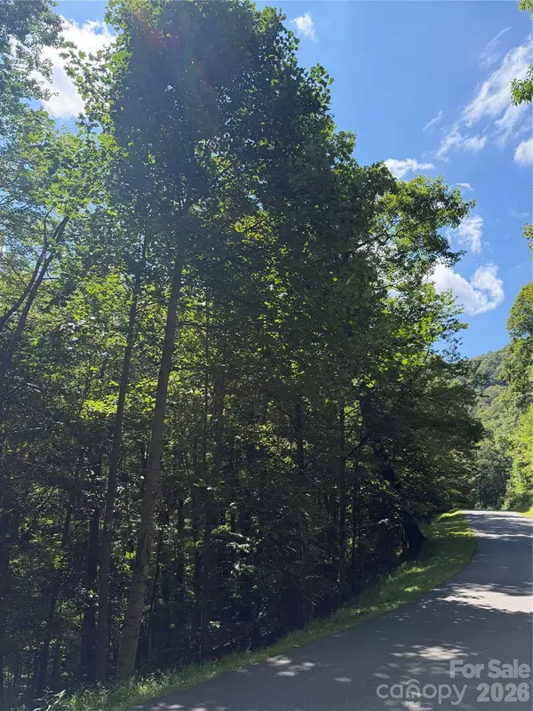 00 Chestnut Village LN, Mars Hill, NC 28754