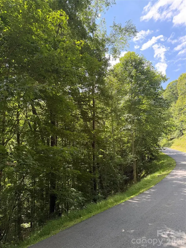 00 Chestnut Village LN, Mars Hill, NC 28754