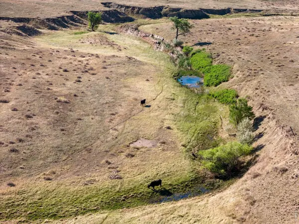 Buckeye Rd, Wellington, CO 80549
