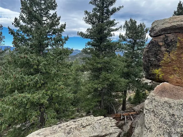 6901 Lynx Lair, Evergreen, CO 80439