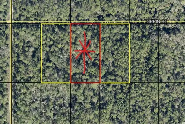 tract 602 TIPPIN ST, Hastings, FL 32145