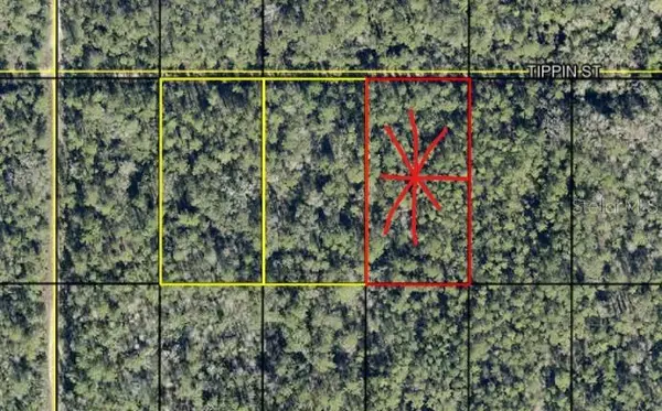 tract 603 TIPPIN ST, Hastings, FL 32145