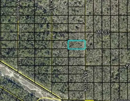 Track 189 RUTH AVE, Hastings, FL 32145