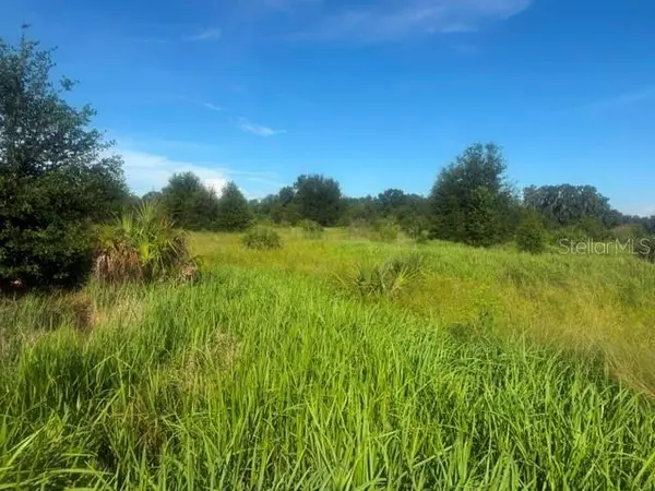 WELCOME RD #Lot 3, Lithia, FL 33547