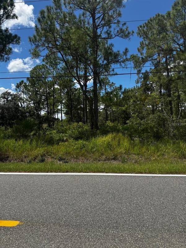 MCCLELLAN RD #48, Frostproof, FL 33843