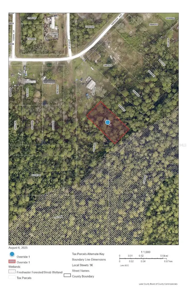 RACCOON ST, Paisley, FL 32767