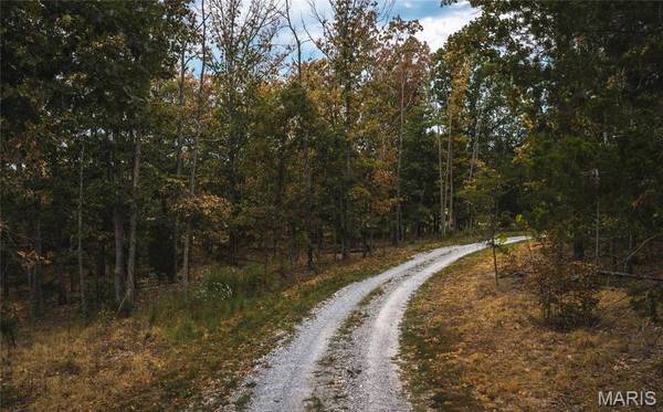 14754 Withrow DR, Licking, MO 65542