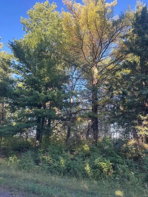 8360 S Old 11 RD, Solon Springs, WI 54873