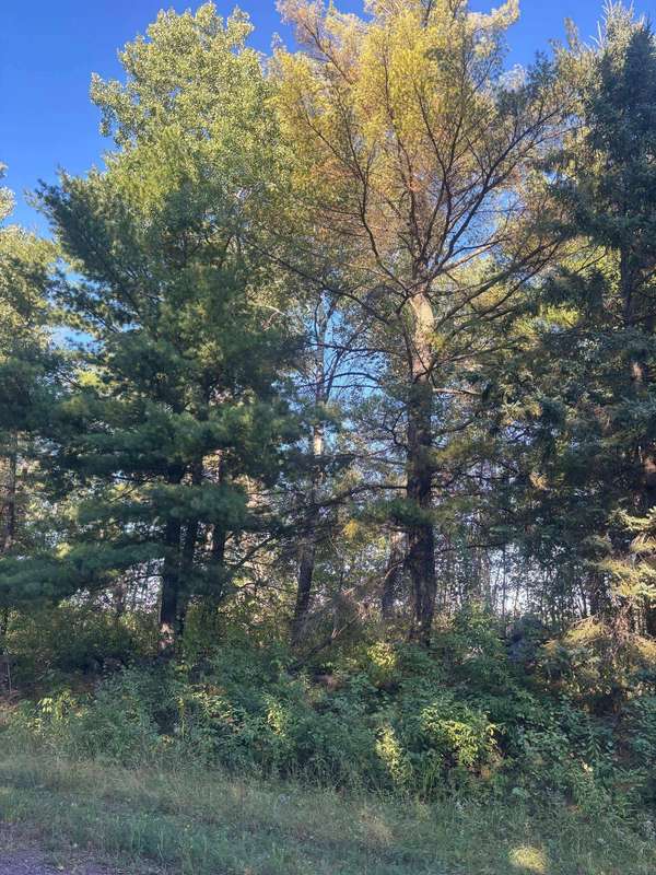 8360 S Old 11 RD, Solon Springs, WI 54873