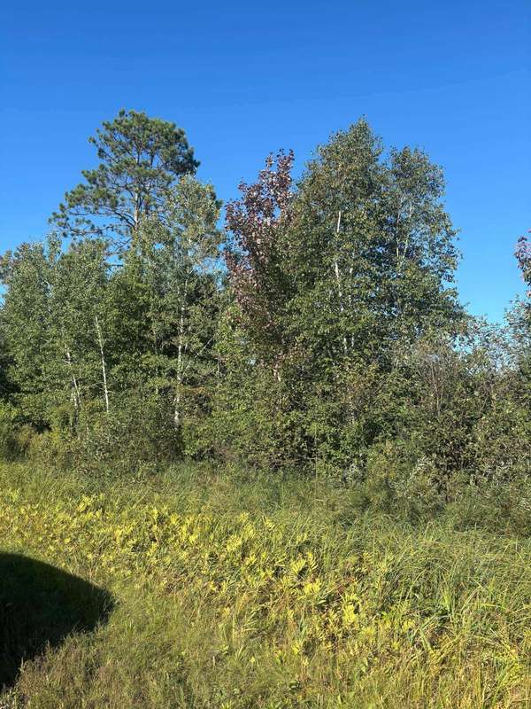 8360 S Old 11 RD, Solon Springs, WI 54873