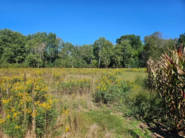 xxxx 313th AVE, Princeton, MN 55371