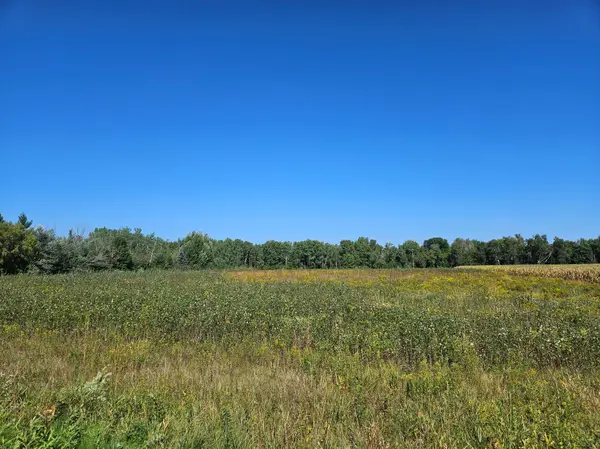 xxxx 313th AVE, Princeton, MN 55371