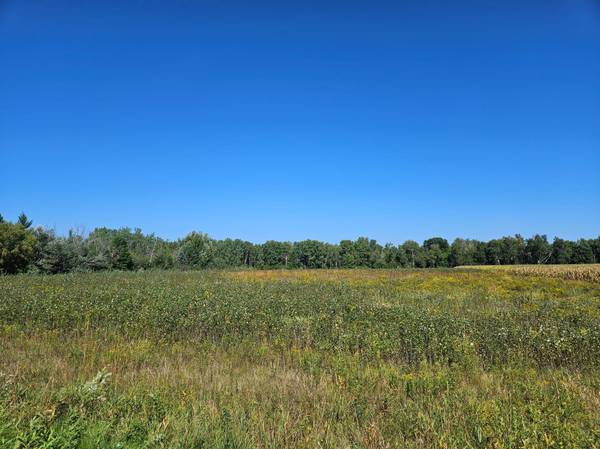 xxxx 313th AVE, Princeton, MN 55371