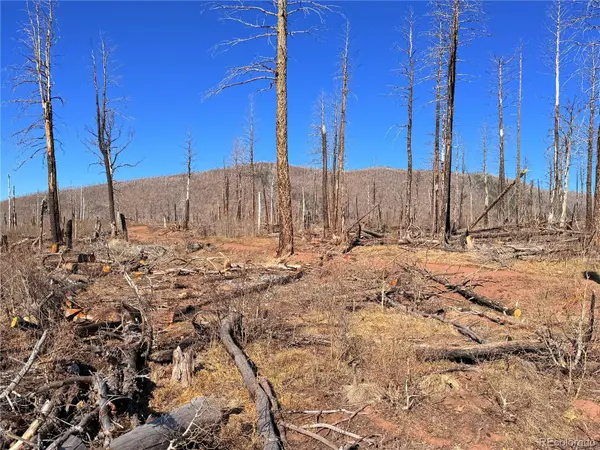 LOT 2211 Burnett LN, Fort Garland, CO 81133