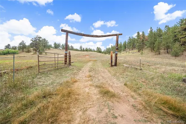 8567 Cr-3, Divide, CO 80814