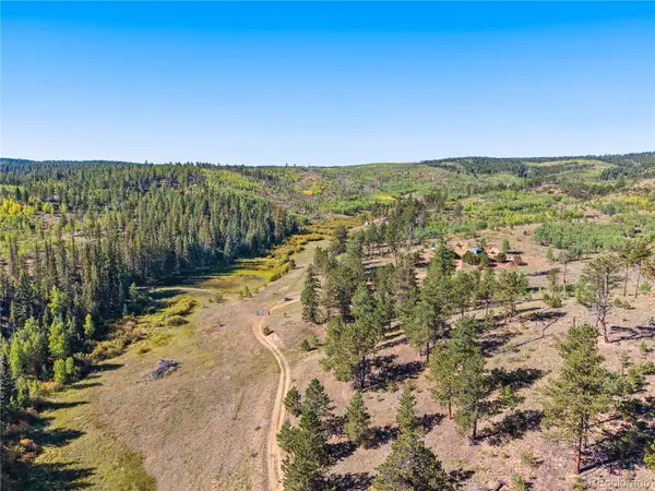 8567 Cr-3, Divide, CO 80814