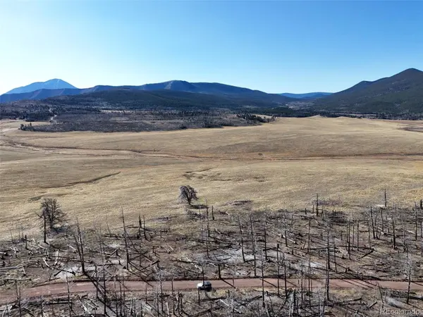 LOT 2212 Burnett LN, Fort Garland, CO 81133