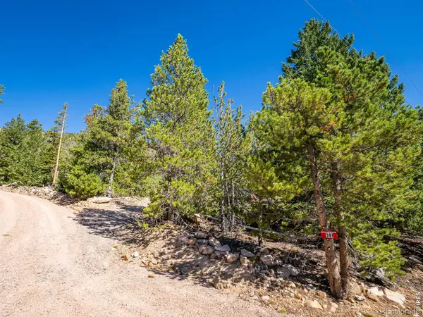 391 Tonkawa DR, Red Feather Lakes, CO 80545