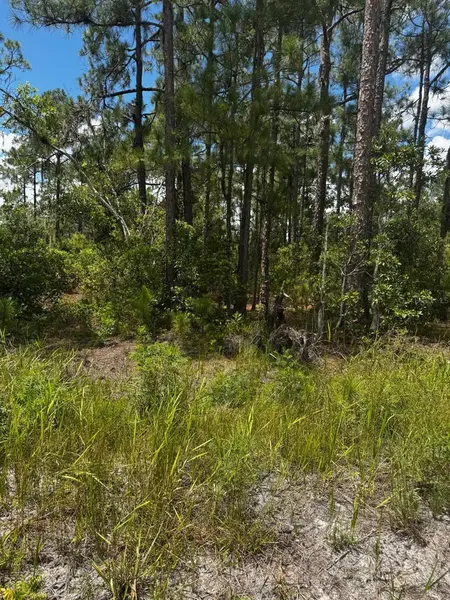 MCCLELLAN RD #6, Frostproof, FL 33843