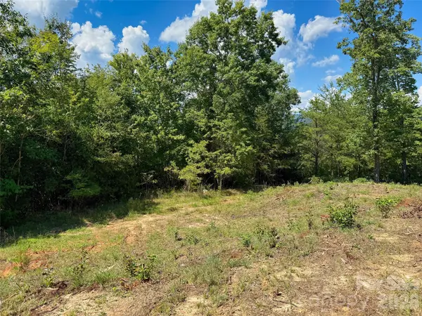 5 Hibiscus CT #5, Lake Lure, NC 28746