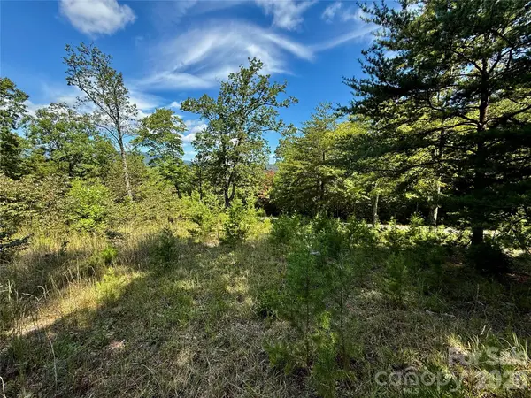 5 Hibiscus CT #5, Lake Lure, NC 28746