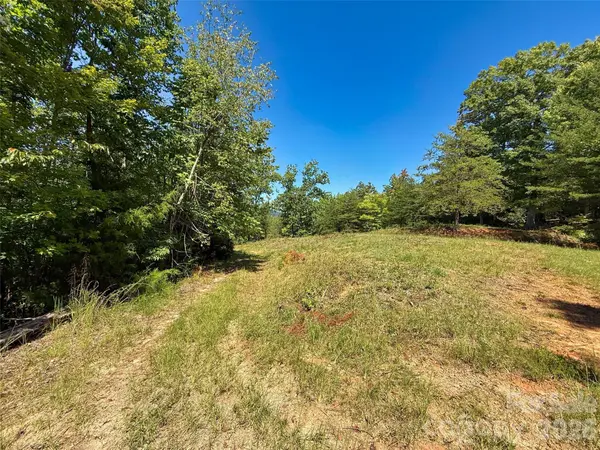 5 Hibiscus CT #5, Lake Lure, NC 28746