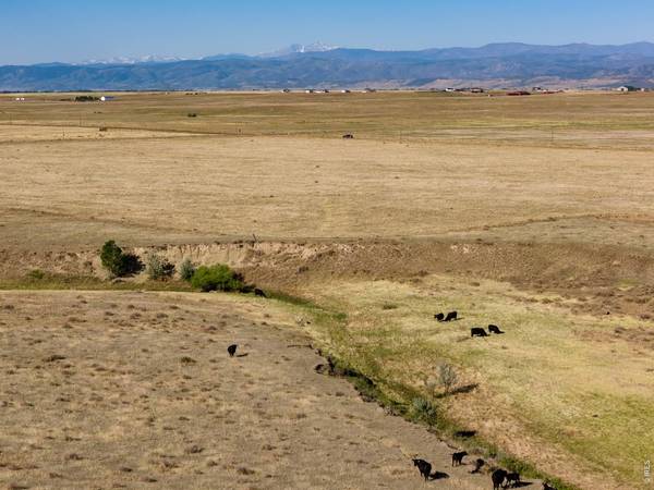 CR 7, Wellington, CO 80549