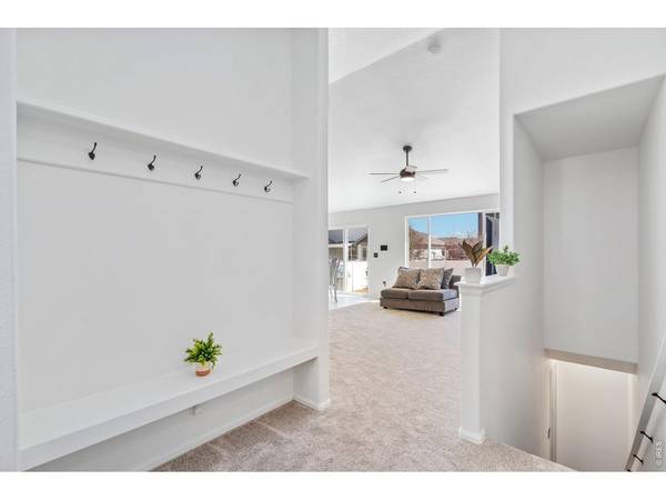 259 Castle, Severance, CO 80550