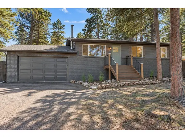 1005 W Lorraine, Woodland Park, CO 80863