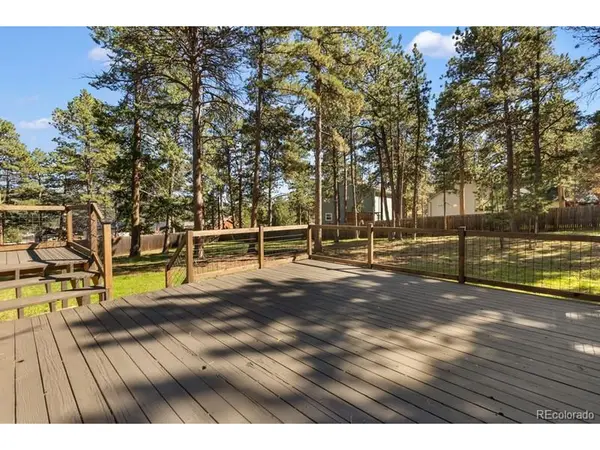 1005 W Lorraine, Woodland Park, CO 80863