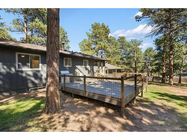 1005 W Lorraine, Woodland Park, CO 80863