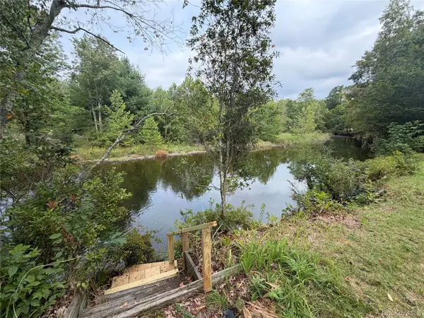 8 Hampshire LN, Loch Sheldrake, NY 12759
