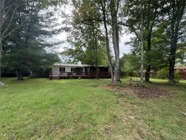8 Hampshire LN, Loch Sheldrake, NY 12759