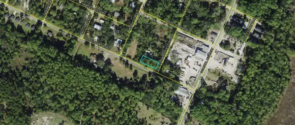 24-5S-02W-057-03133-000 DICKSON BAY, Panacea, FL 32346
