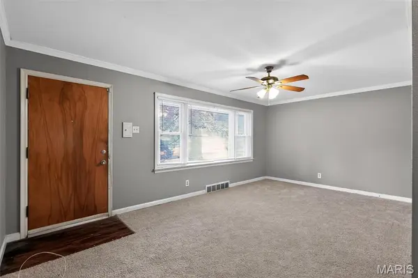 14 Forest Home CT, St Louis, MO 63137