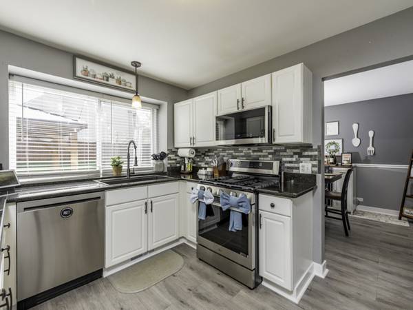 113 OAKTON LN, Lake Villa, IL 60046