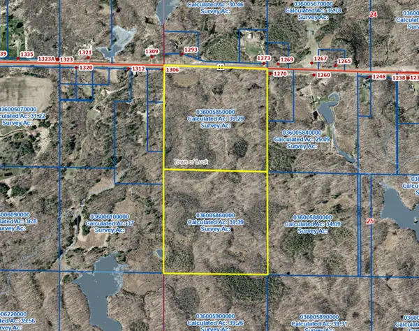 TBD Hwy 48, Luck, WI 54853