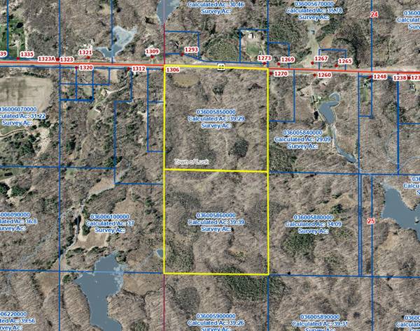 TBD Hwy 48, Luck, WI 54853