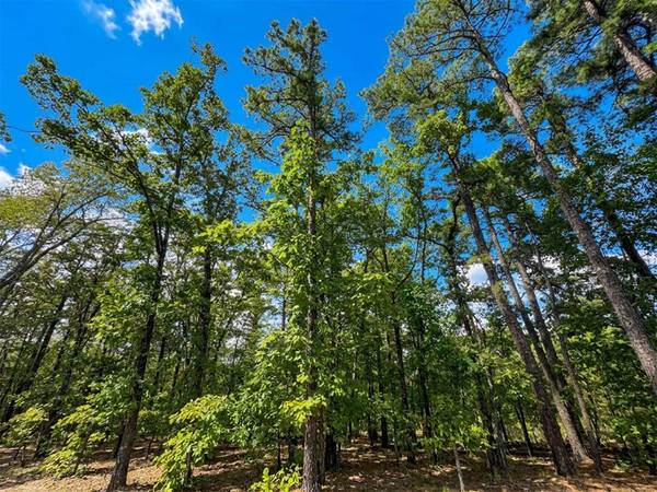 1054 Carter Mountain TRL, Broken Bow, OK 74728